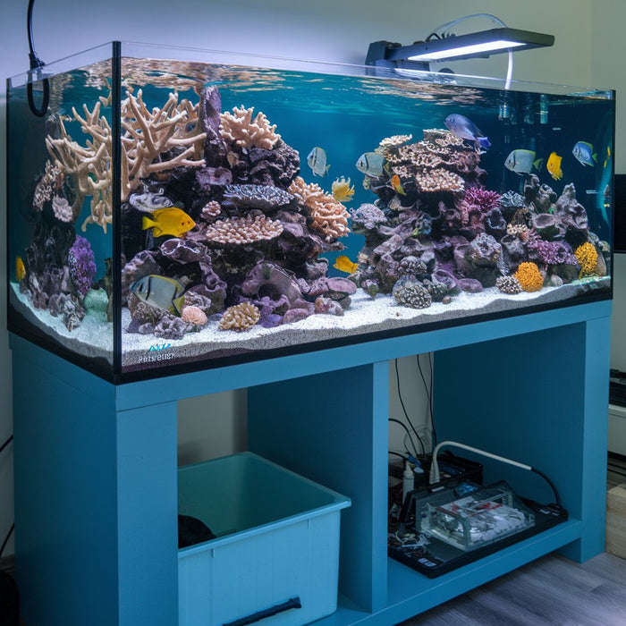 Marine Aquarium (Basics)