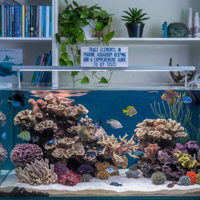 Trace Elements in Marine Aquarium Keeping and a Comprehensive Guide to ICP Tests