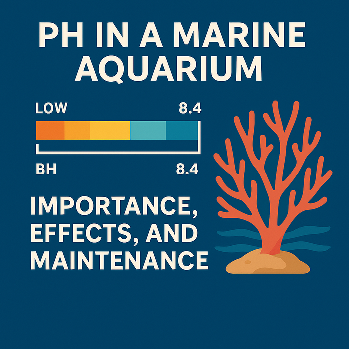 pH in Marine Aquariums: Importance, Influence, and Maintenance