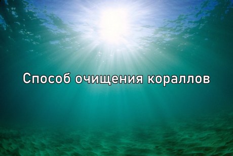 sposob-ochishcheniya-korallov